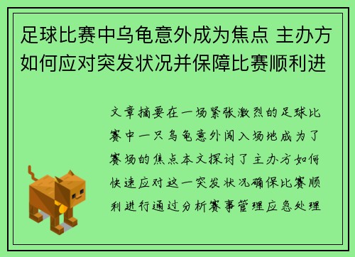 足球比赛中乌龟意外成为焦点 主办方如何应对突发状况并保障比赛顺利进行